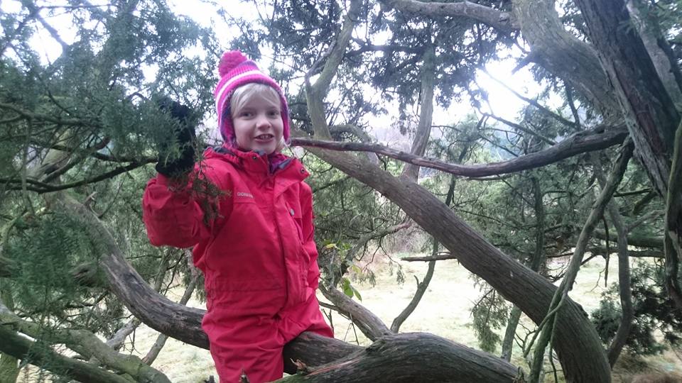 Elin november 2015